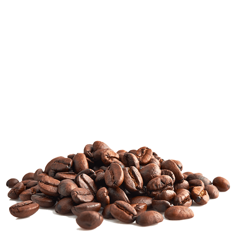 Les Cafés Dagobert -- Mélange café moka Guji 100% arabica, bio et équitable - grains Vrac (origine Ethiopie) - 5 kg